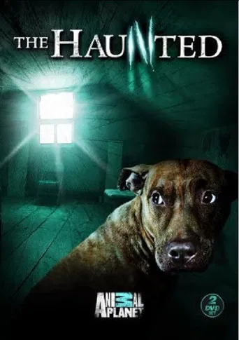 Series poster for The Haunted (2009)