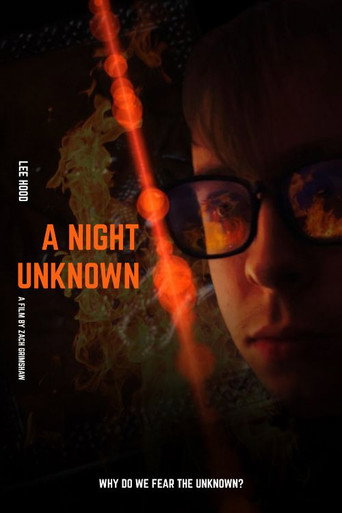 Movie poster for A Night Unknown (2025)
