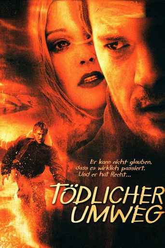 Deadly Diversion poster