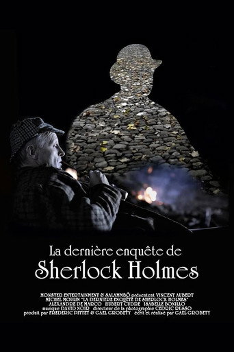 Movie poster for La dernière enquête de Sherlock Holmes (2010)