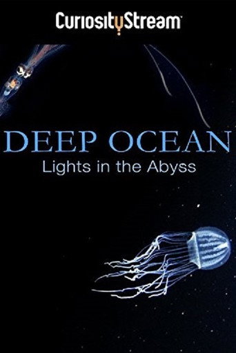 Movie poster for Deep Ocean: Lights in the Abyss (2016)