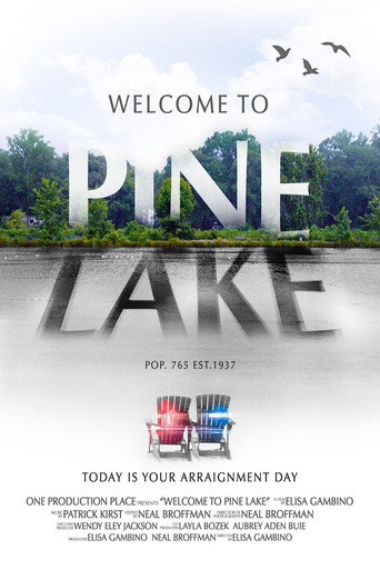 Movie poster for Welcome to Pine Lake (2020)