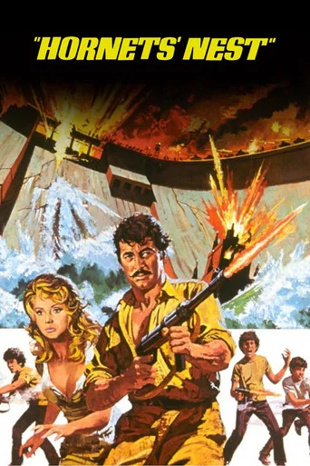 Movie poster for Hornets' Nest (1970)