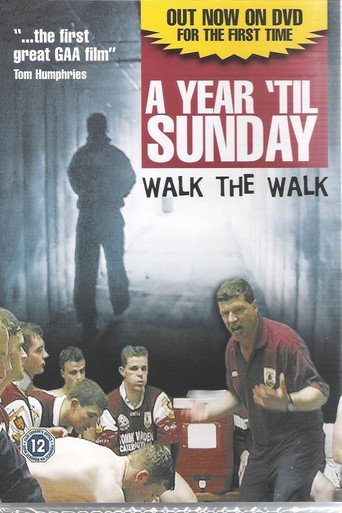 Movie poster for A Year 'til Sunday (1998)