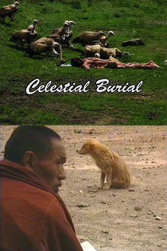 Movie poster for Celestial Burial (1993)