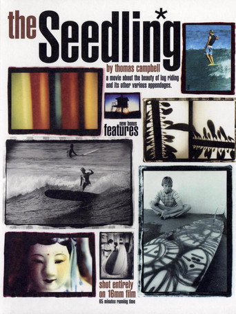 Movie poster for The Seedling (2004)