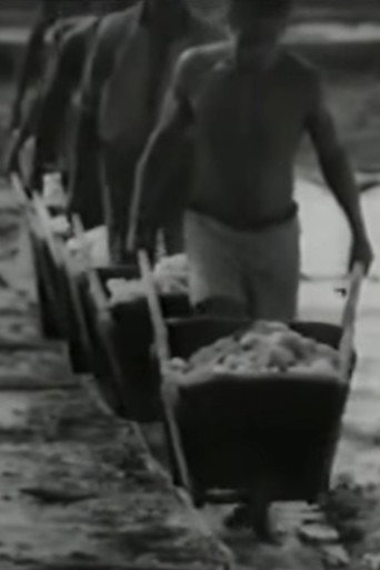 Movie poster for Salt (1965)