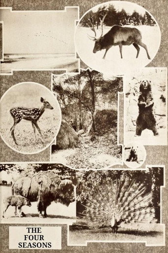 Movie poster for The Four Seasons (1921)