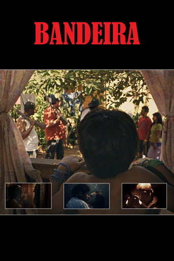 Four-Colored Banner poster