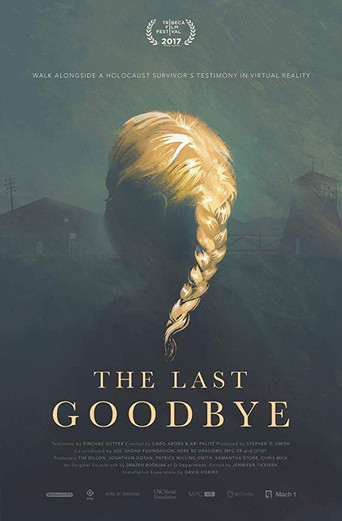 Movie poster for The Last Goodbye (2017)