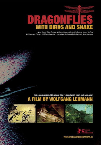 Movie poster for Dragonflies with Birds and Snake (2012)