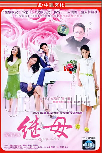 真情无限之继母 poster