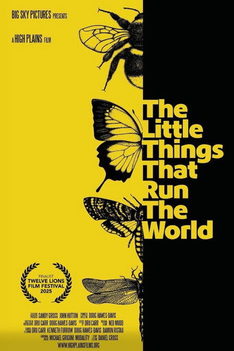 Movie poster for The Little Things that Run the World (2025)