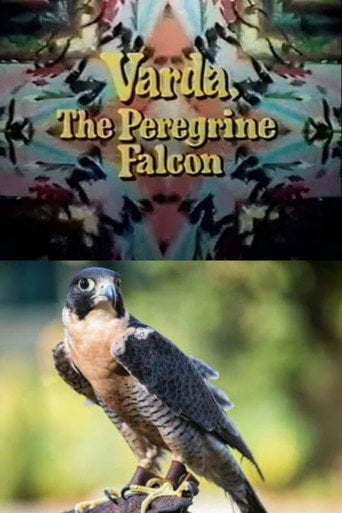 Movie poster for Varda, the Peregrine Falcon (1969)