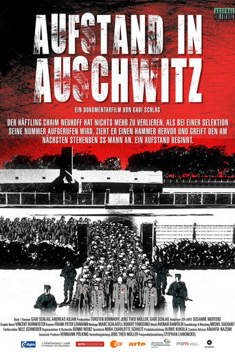 Movie poster for Aufstand in Auschwitz (2026)