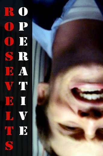 Movie poster for Roosevelt's Operative (2014)