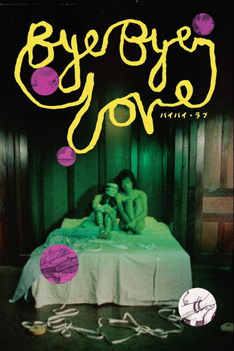 Bye Bye Love poster