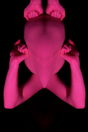 We Are Humans poster