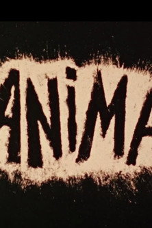 Movie poster for Anima (1977)