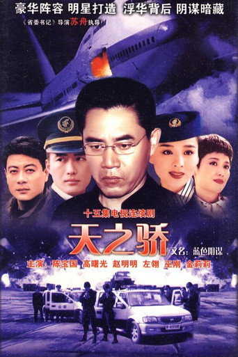 中国空姐 poster