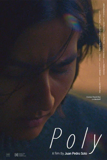 Movie poster for Poly