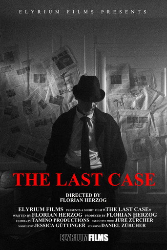 Movie poster for The Last Case (2021)