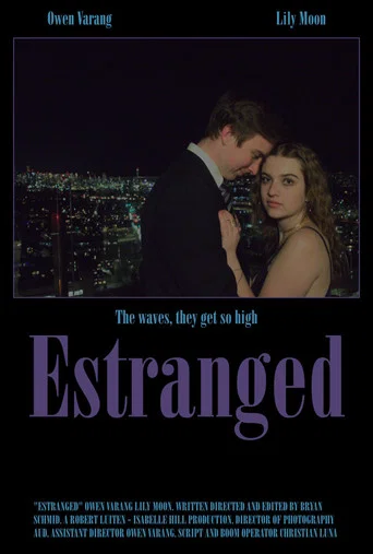 Movie poster for Estranged (2025)
