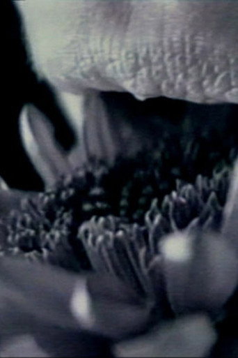 Movie poster for straightbut (1997)