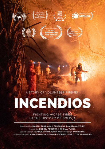 Movie poster for Fires (2021)