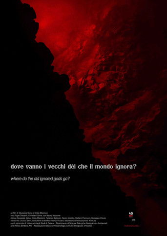 Where do the old ignored gods go? poster