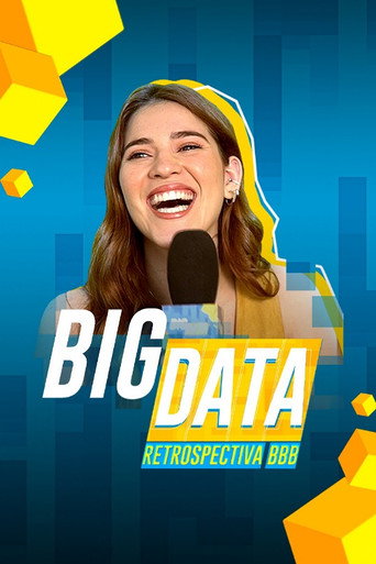 Series poster for Big Data: Retrospectiva BBB (2020)