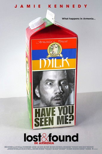 Lost and Found in Armenia poster