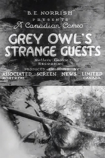 Movie poster for Grey Owl's Strange Guests (1934)