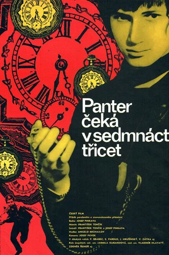 Movie poster for Panter čeká v 17,30 (1972)