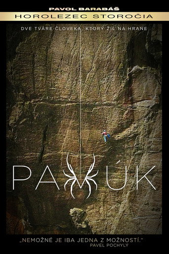 Movie poster for Pavúk (2018)