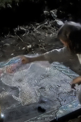 Legend of the White Boar poster