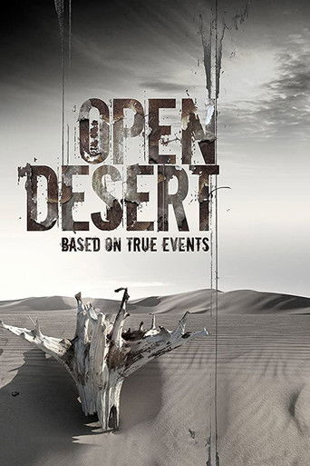 Open Desert poster