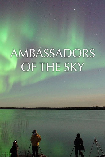 Movie poster for Ambassadors of the Sky (2016)