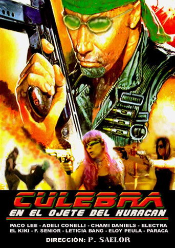 Movie poster for Culebra, en el ojete del huracán (2011)