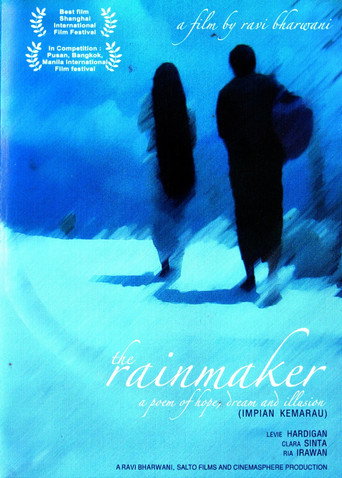 Movie poster for The Rainmaker (2004)