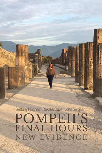 Pompeii's Final Hours: New Evidence poster