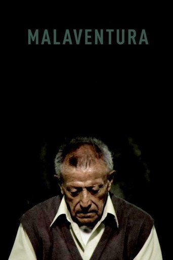 Movie poster for Malaventura (2011)