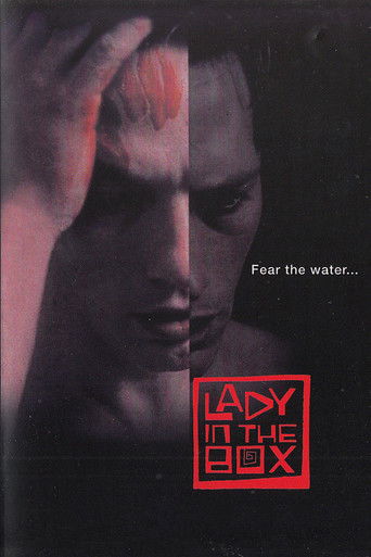 Lady in the Box poster