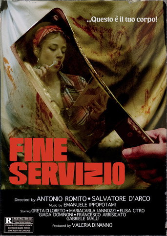 Movie poster for Fine Servizio (2024)