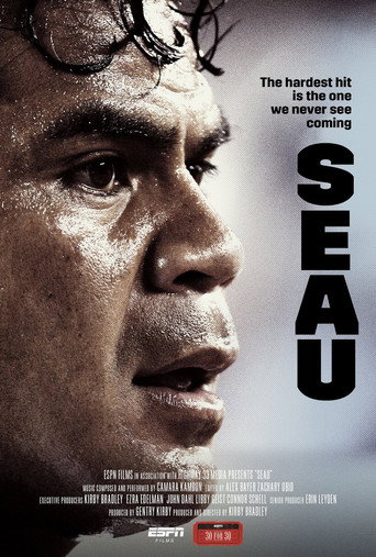 Movie poster for Seau (2018)