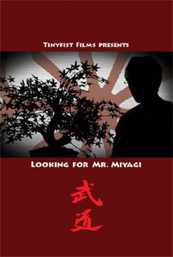 Movie poster for Looking for Mr. Miyagi (2014)