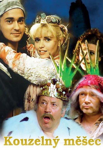 The Magic Book poster