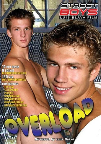 Movie poster for Overload (2006)