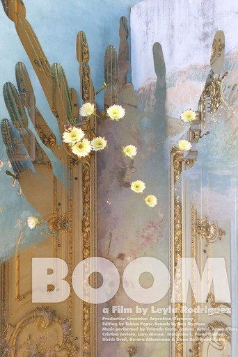 Movie poster for Boom