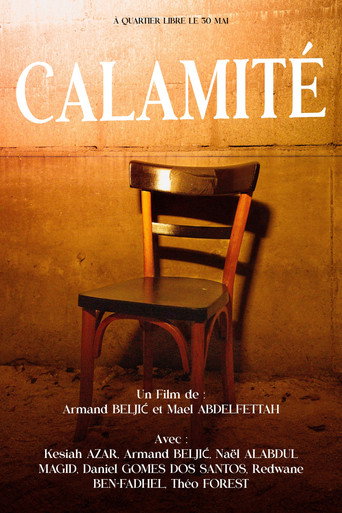 Movie poster for Calamité (2023)